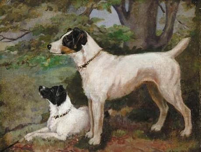 Adrian Scott Stokes - Due Terrier